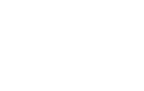 Towne Lake Construction